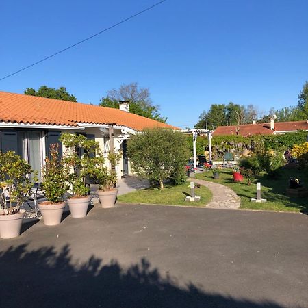 La Pepiniere Bed and Breakfast Saint-Sulpice-et-Cameyrac Exteriör bild